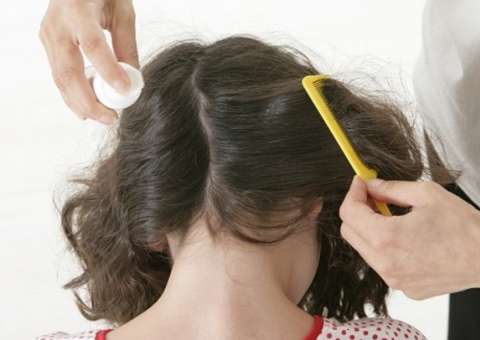 Conheça 3 remédios naturais para combater piolhos 