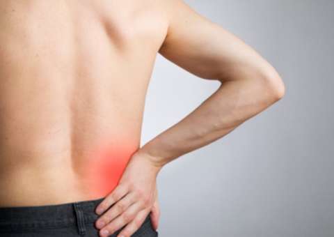 Frutos cozidos podem tratar pedras nos rins 