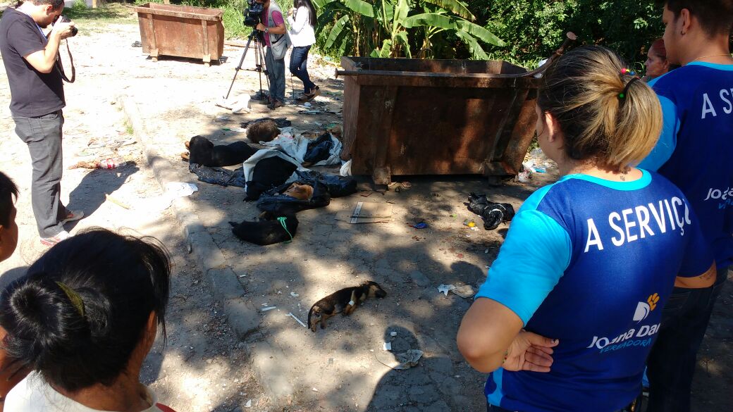 Veterinária revela detalhes sobre morte de animais congelados em lixeira de Manaus