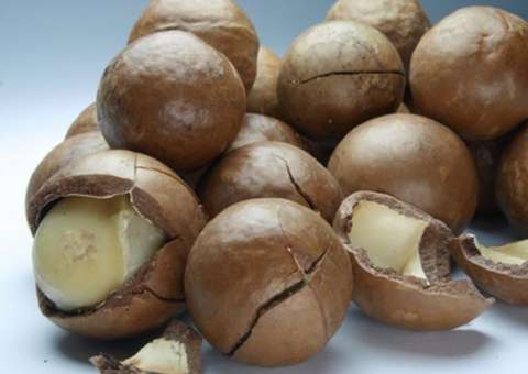 Sementes ajudam a manter a saúde do coração e a reduzir o mau colesterol