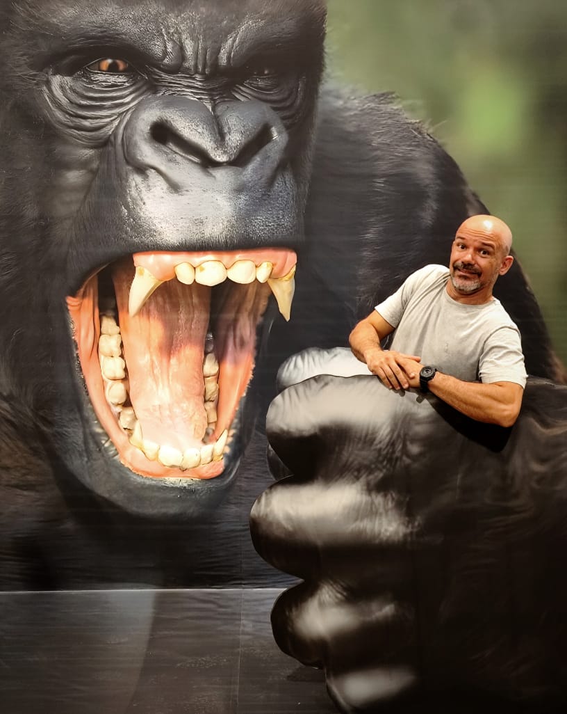 Últimos dias: Museu das Ilusões encerra temporada em Manaus