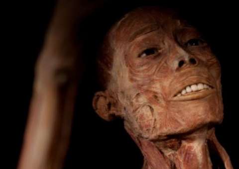  Exposição O Fantástico Corpo Humano é opção de lazer e conhecimento para toda a família