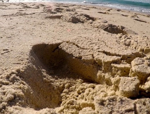 Corpo de assistente social é encontrado dentro de mala enterrada na praia