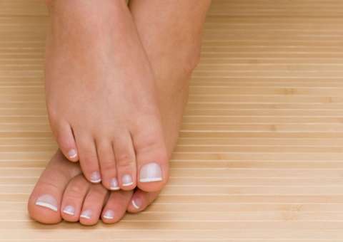 Planta com propriedades anti-inflamatórias combate alergias e inchaços 