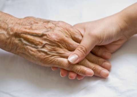 Dieta pode prevenir doenças como Alzheimer e Parkinson 