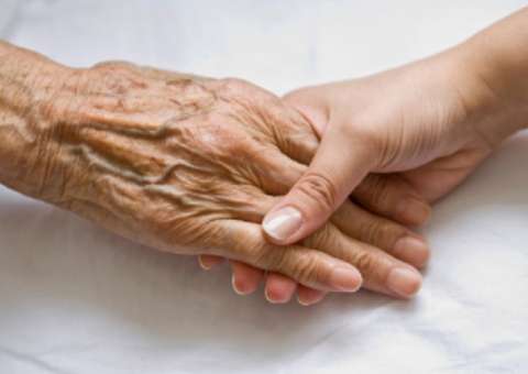 Dieta pode prevenir doenças como Alzheimer e Parkinson 