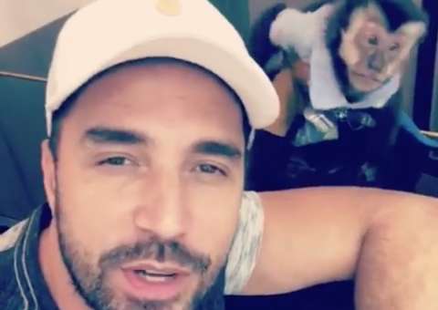 Latino diz que vai implantar chip em macaco após sumiço