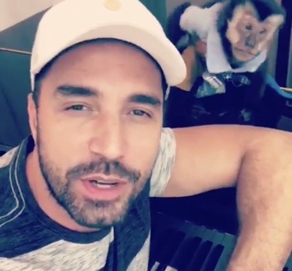 Latino diz que vai implantar chip em macaco após sumiço