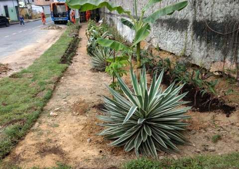 Lixeira viciada dá lugar a jardim na zona Sul de Manaus 