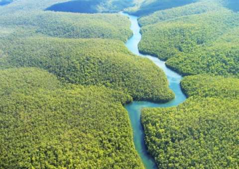 Governo apresenta PL que reduz floresta na Amazônia