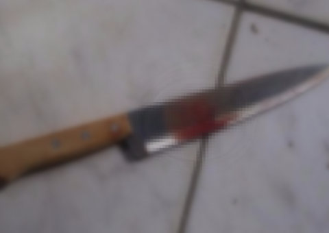 Durante briga, mulher mata marido a facadas no AM