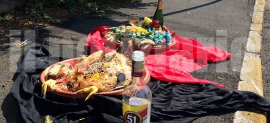 Despacho com galinhas mortas vira caso de polícia na Itália