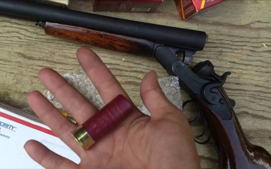 Irmãos são mortos a tiros de escopeta na frente da mãe