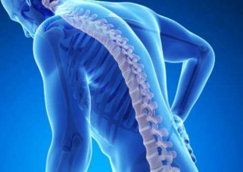 Consumo de alimento rico em Cálcio reduz riscos de osteoporose 