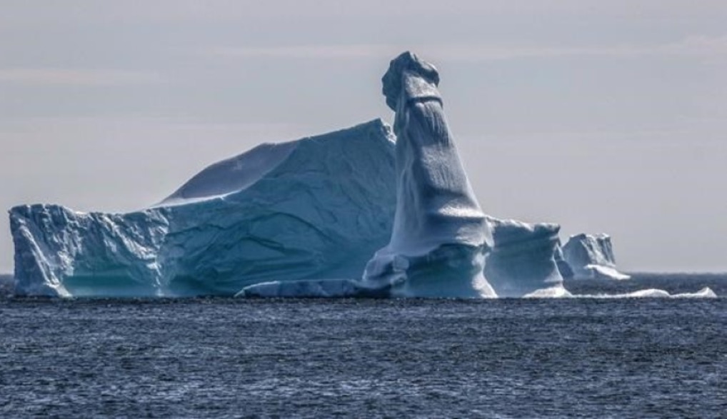 Iceberg “excitado” chama a atenção na web e foto viraliza 