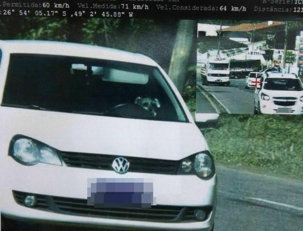 Radar flagra cachorro ‘dirigindo’ carro em rua e foto viraliza na internet