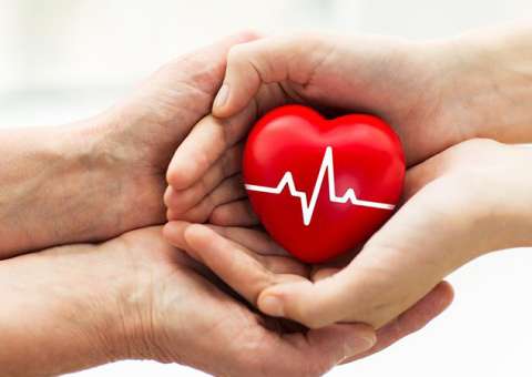 Exposição em shopping de Manaus tem campanha de Doações de Órgãos