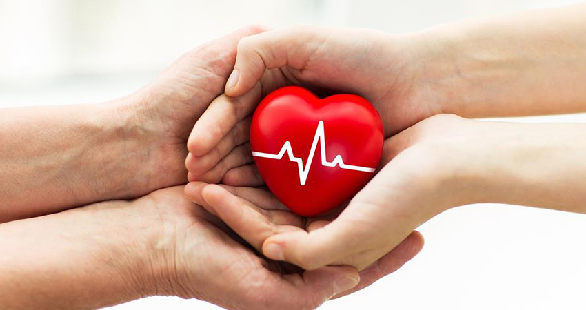 Exposição em shopping de Manaus tem campanha de Doações de Órgãos