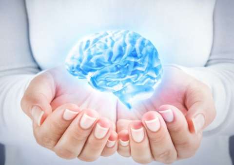 Pesquisa demonstra benefícios de folha de legume para o cérebro 