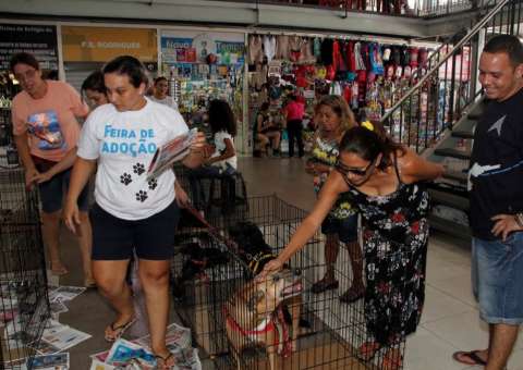 Exposição de animais para adoção atrai público no Centro