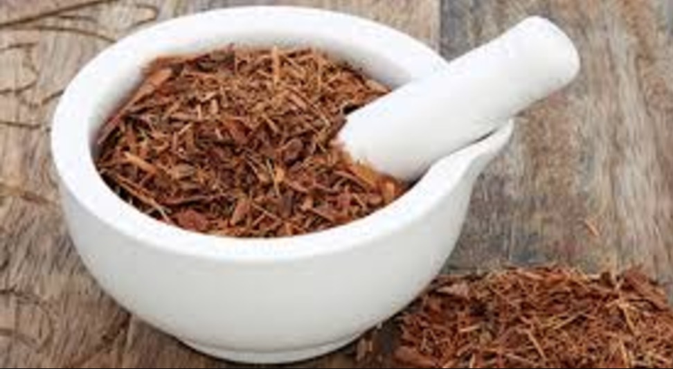 Substância extraída de planta pode tratar depressão e estresse. Conheça  