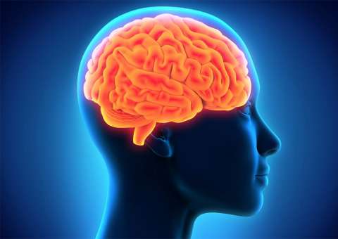 O segredo natural para aumentar memória em até 80 por cento