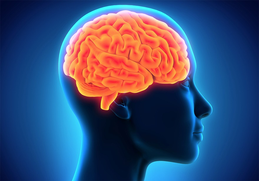 O segredo natural para aumentar memória em até 80 por cento