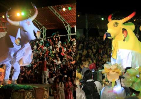 14º Festival do Folclórico do Mocambo inicia neste fim de semana no Amazonas 