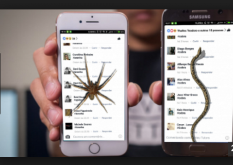 Não caia no golpe da 'Aranha ou Cobra no Facebook'