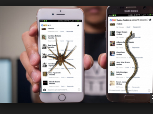 Não caia no golpe da 'Aranha ou Cobra no Facebook'