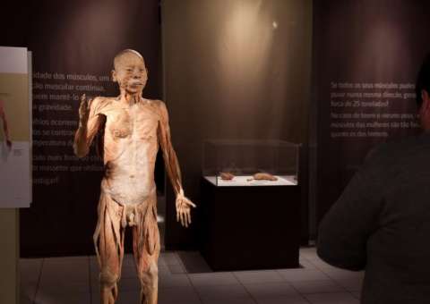 Exposição internacional O Fantástico Corpo Humano chega ao fim