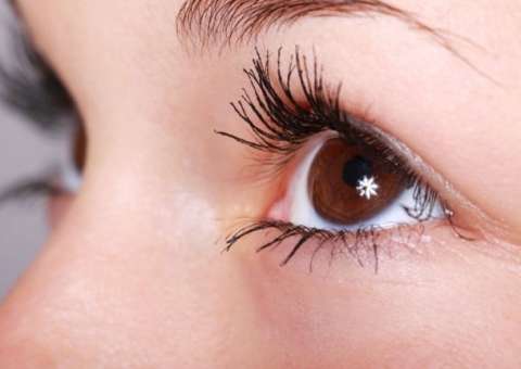 Fonte de vitaminas, planta é boa para visão e ajuda na memória   