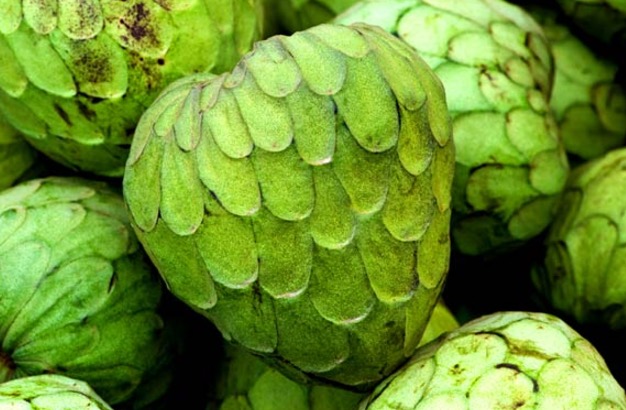 Fruta tem propriedade laxante e é útil no controle de glicemia 