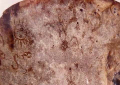   Suposta imagem de Jesus aparece em cogumelo e intriga internautas