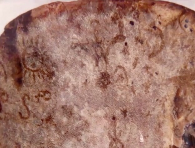   Suposta imagem de Jesus aparece em cogumelo e intriga internautas