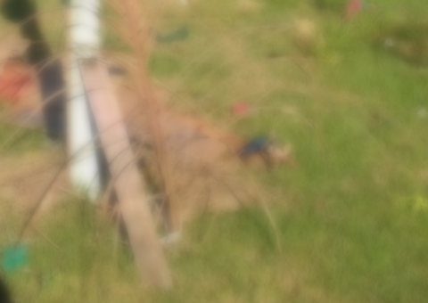 Decapitado, corpo de homem é encontrado em terreno de igreja na zona Norte de Manaus