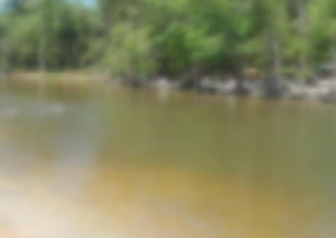 Criança de 4 anos morre afogada em comunidade no AM