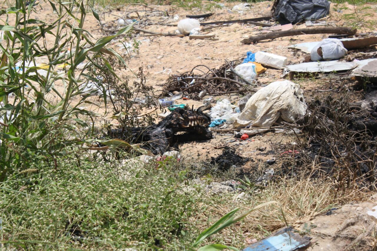 Corpo de mulher carbonizado é encontrado em barranco em Manaus