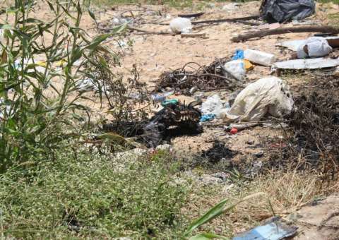 Corpo de mulher carbonizado é encontrado em barranco em Manaus