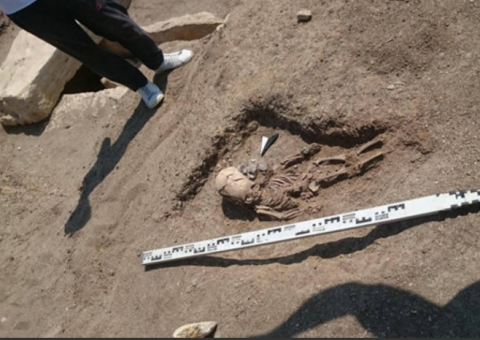 Assustador! Após escavação, esqueleto 'alien' é encontrado e intriga cientistas