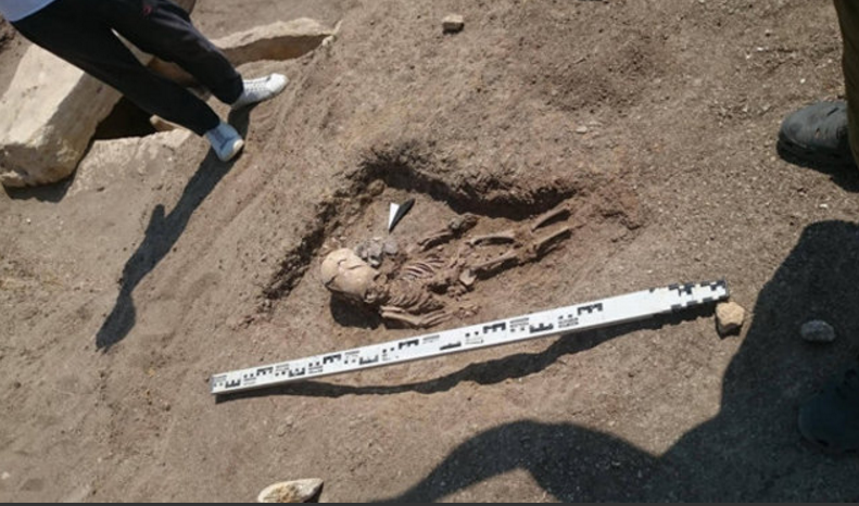 Assustador! Após escavação, esqueleto 'alien' é encontrado e intriga cientistas