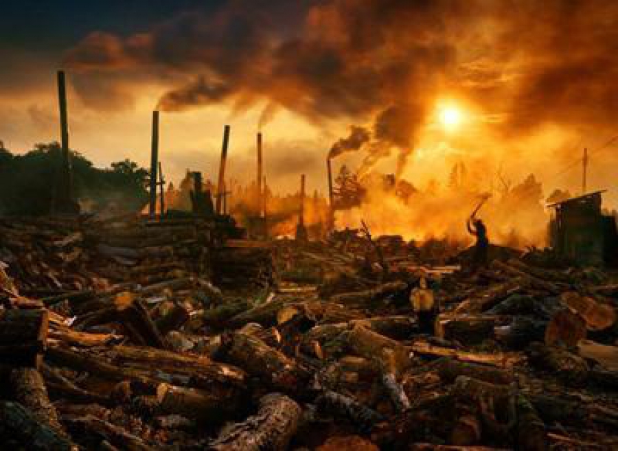 Estudo calcula que mudanças climáticas causarão 60 mil mortes 