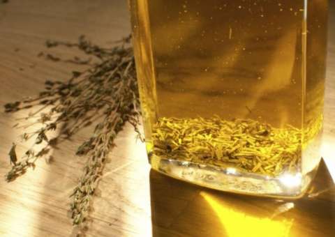 Conheça óleo vegetal que protege o corpo contra bactérias 