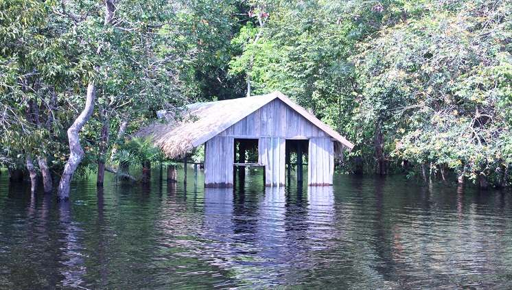 Inpa divulga resultado do Mestrado Profissionalizante no Amazonas