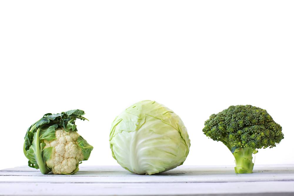 Brócolis, couve e repolho ajudam no tratamento de diabetes