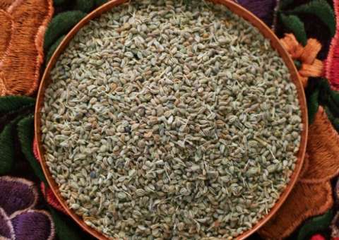 Erva afrodisíaca pode ser usada como estimulante físico e psíquico 