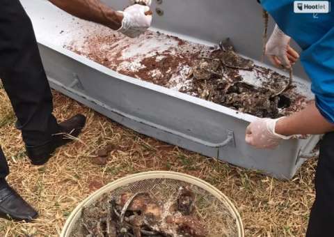 Ossadas de índios desaparecidos há mais 1 ano são encontradas em fazenda