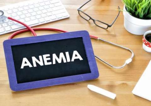 Alimentos ricos em Vitamina D ajudam a combater a anemia 