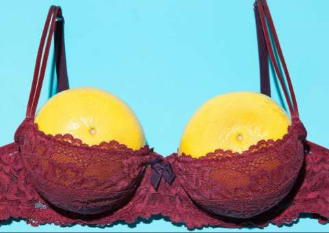 Conheça ervas que podem favorecer a saúde dos seios e até estimular o crescimento deles 