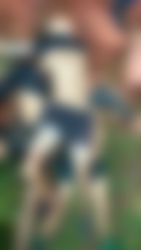 Corpos amontoados são encontrados na AM-070